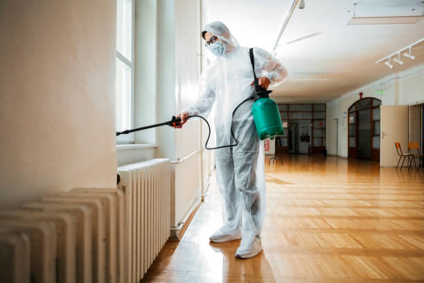 Best Real Estate Pest Inspections  in Kincaid, IL